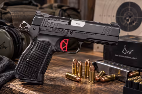 Dan Wesson DWX Compact OR